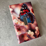 Light Switch Plate Cover Beautiful Butterfly Home Art Deco 1-Gang Single Toggle