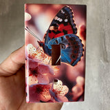 Light Switch Plate Cover Beautiful Butterfly Home Art Deco 1-Gang Single Toggle